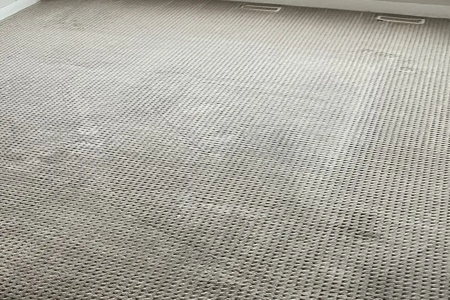 Carpet after cleaning