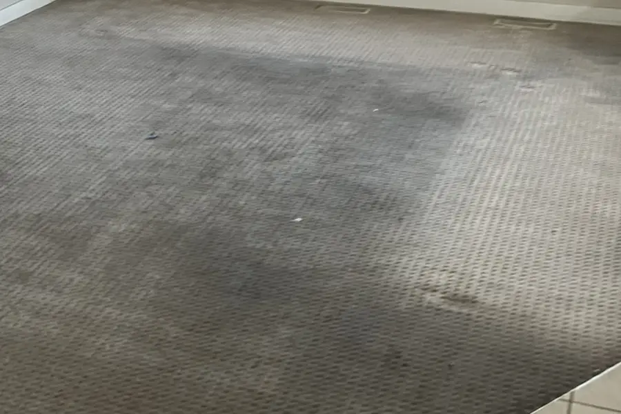 Carpet before cleaning