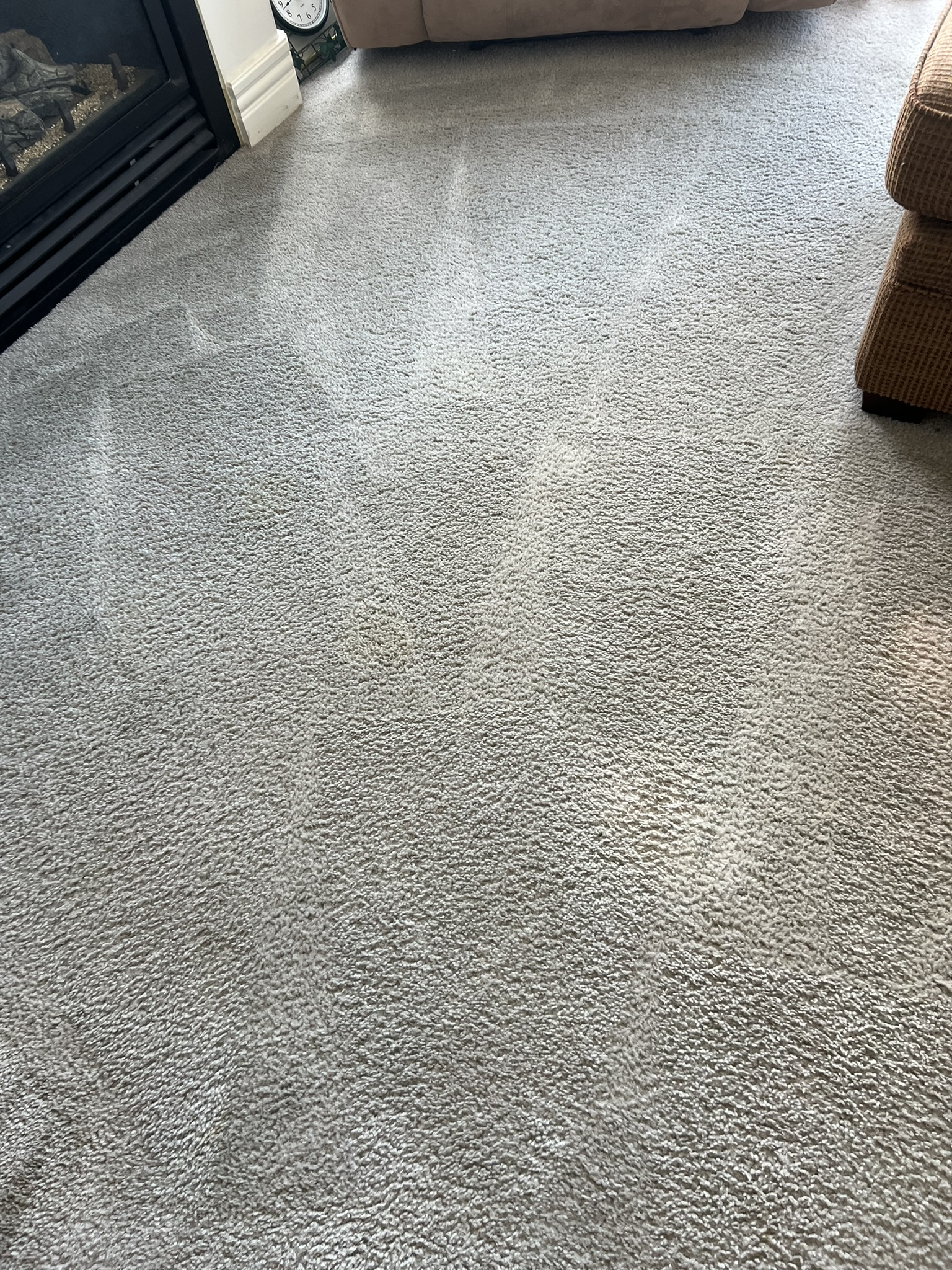 Pet Urine Treatment — Deep Clean & Odor Removal — after cleaning