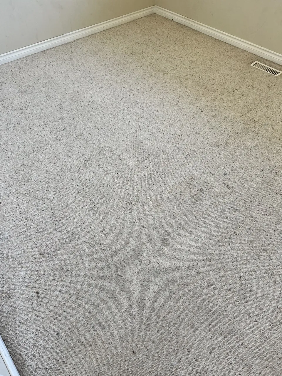 Light Carpet, Heavy Wear — after