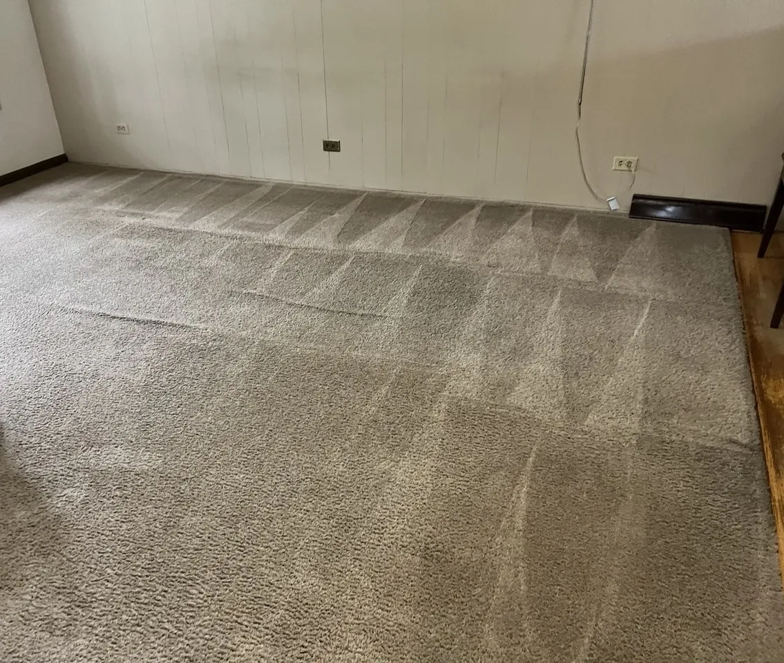 Heavy Traffic Areas - Reset — after cleaning