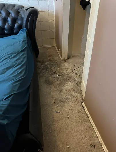 Results like this take real work — before cleaning