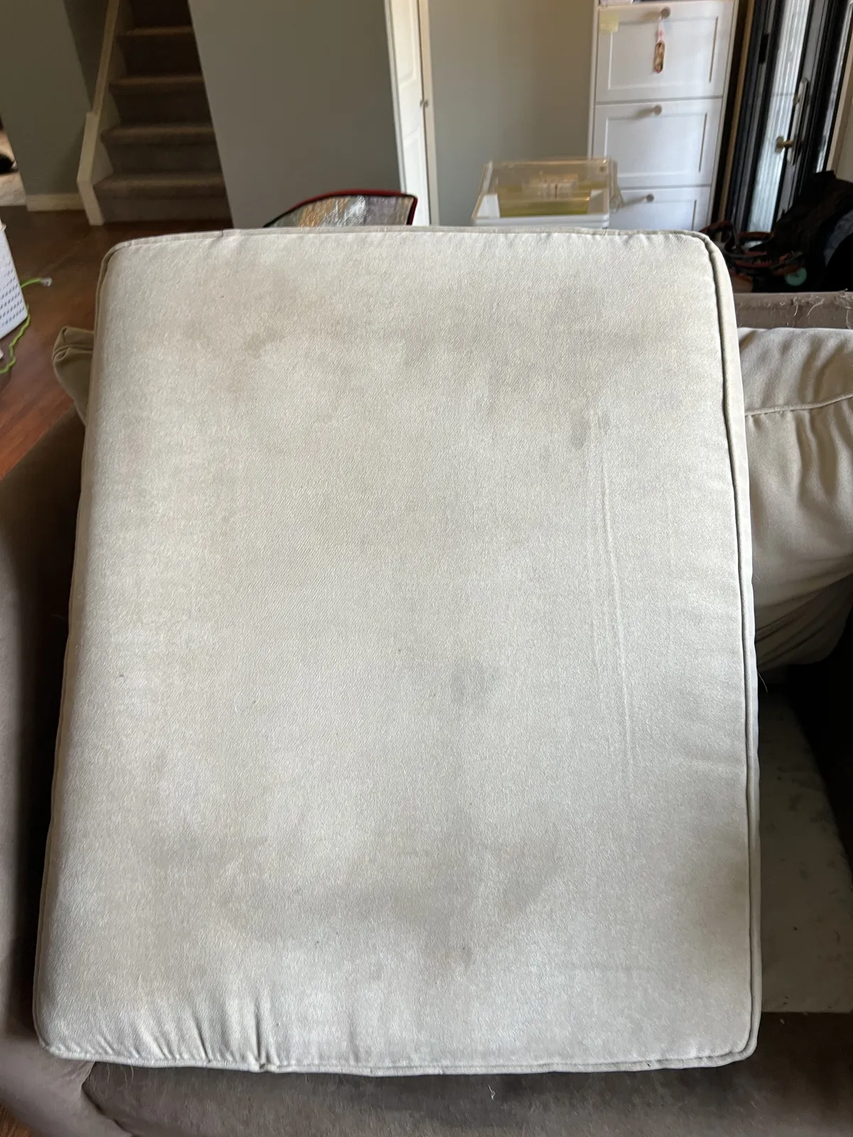 Light Sofa Cushion — Stains Out, Soft Fabric Back — before cleaning
