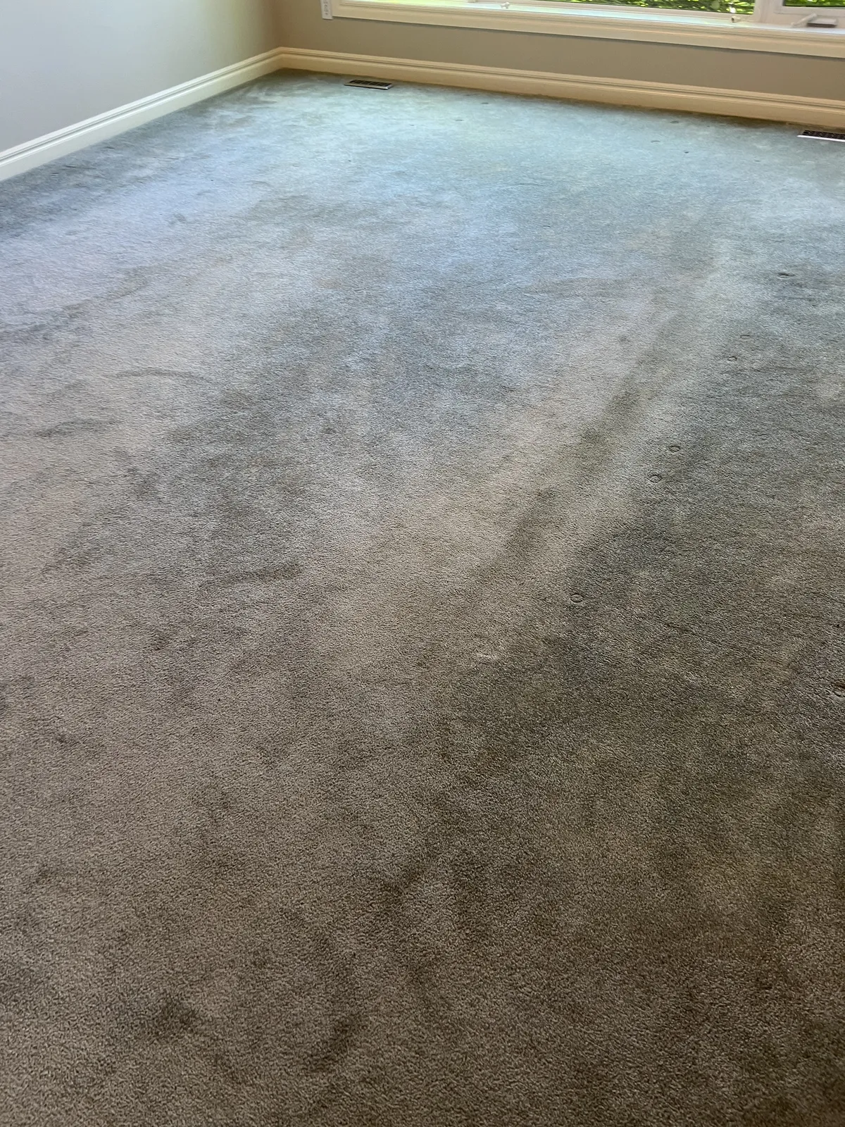 Living Room Carpet - Mid-Clean vs Finished Result — before cleaning